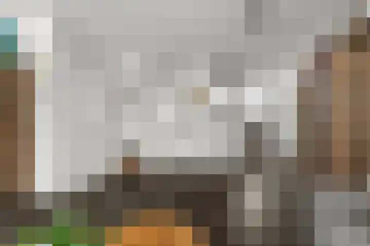 Biezen 31 Huissen thumbnail 10
