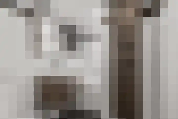Biezen 31 Huissen thumbnail 27