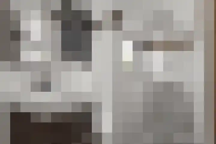 Biezen 31 Huissen thumbnail 29