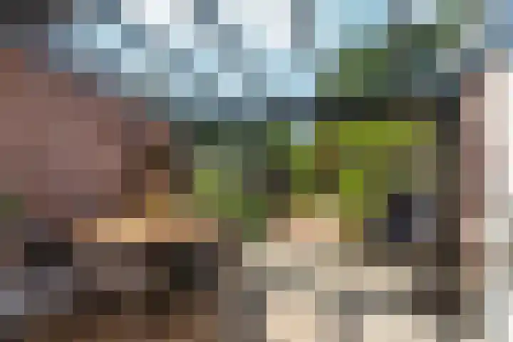 Biezen 31 Huissen thumbnail 33