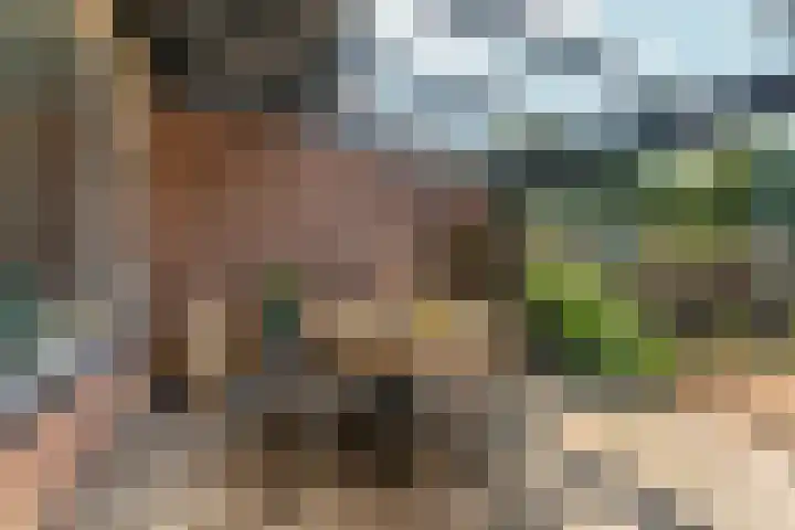 Biezen 31 Huissen thumbnail 34