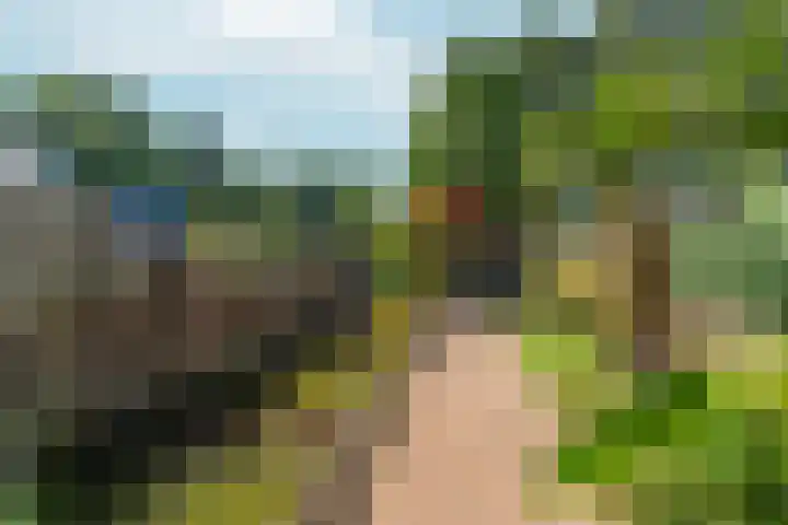 Biezen 31 Huissen thumbnail 36