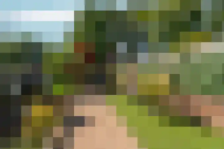 Biezen 31 Huissen thumbnail 38
