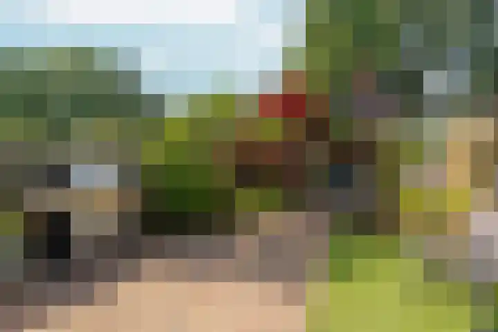 Biezen 31 Huissen thumbnail 39