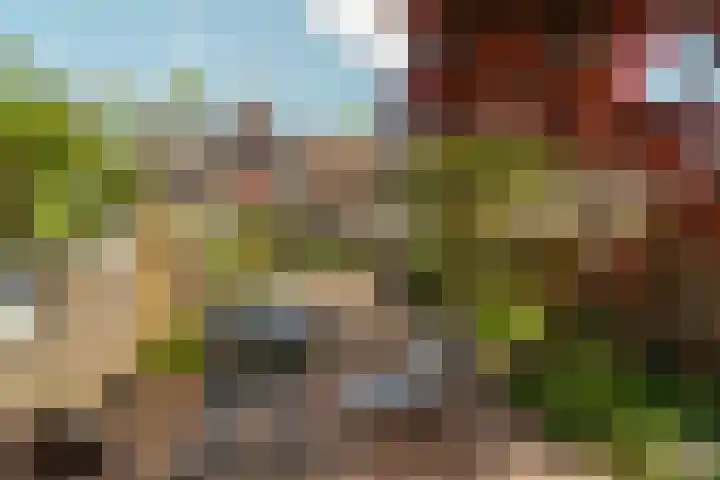 Biezen 31 Huissen thumbnail 42