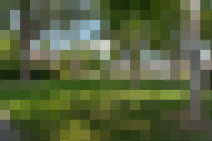 Biezen 31 Huissen thumbnail 45