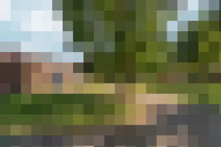 Biezen 31 Huissen thumbnail 46