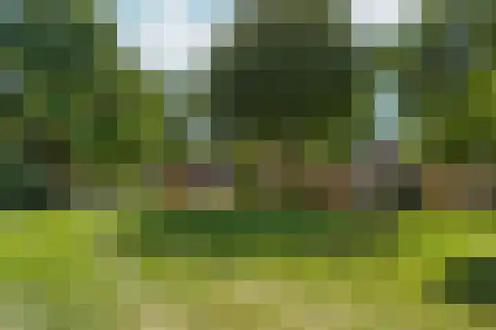 Biezen 31 Huissen thumbnail 47