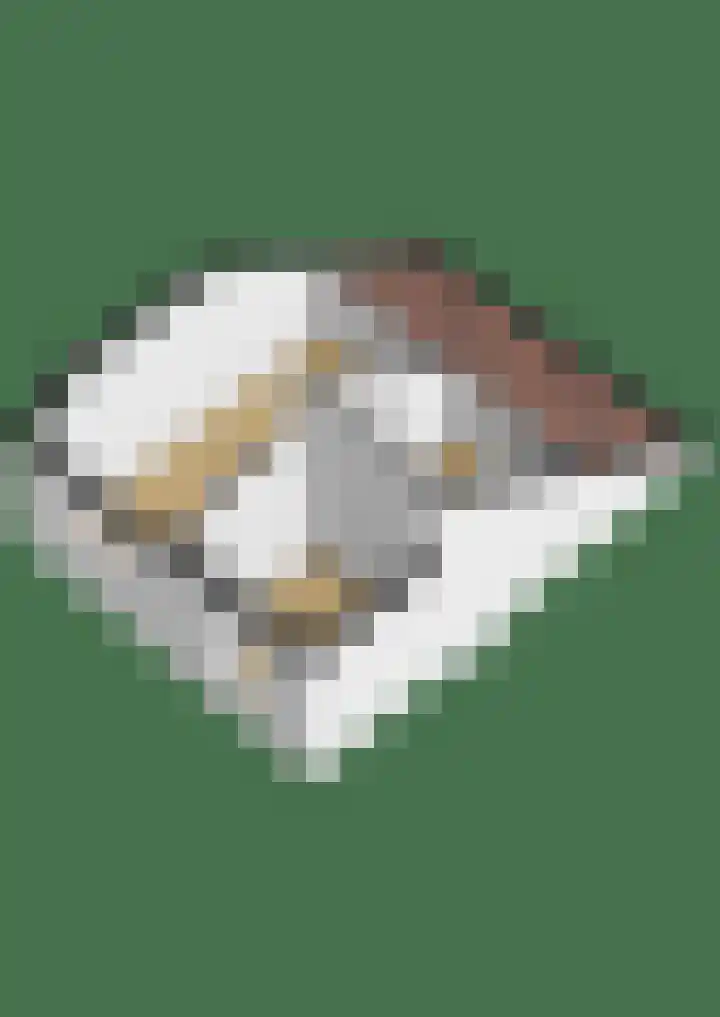 Biezen 31 Huissen thumbnail 55