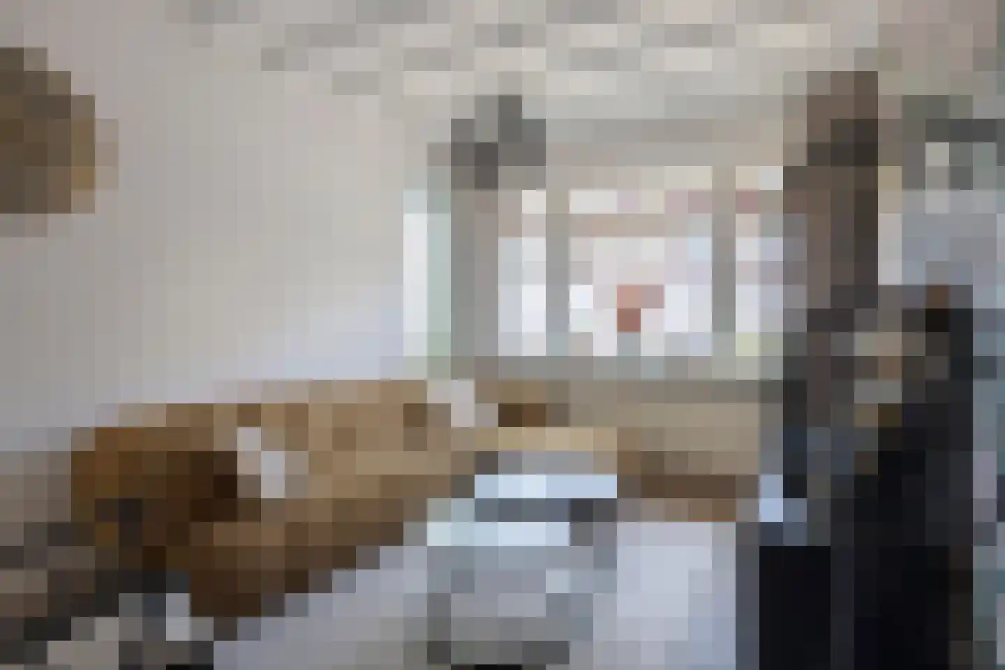 Biezen 34 Dongen thumbnail 12