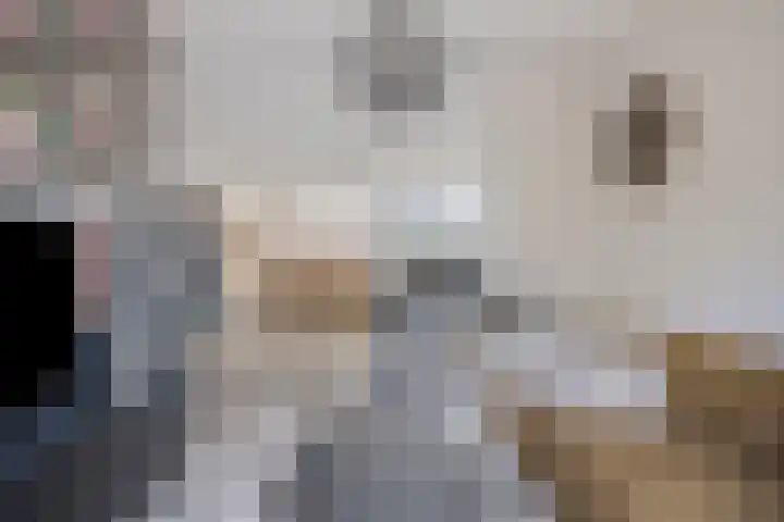 Biezen 34 Dongen thumbnail 14