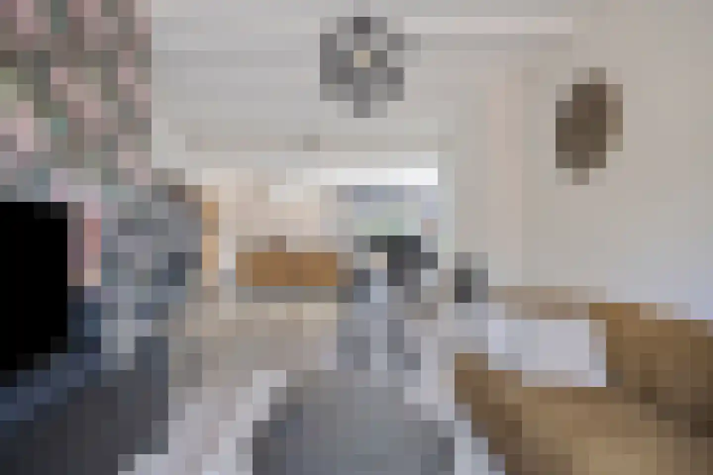 Biezen 34 Dongen thumbnail 14