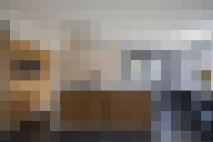 Biezen 34 Dongen thumbnail 17