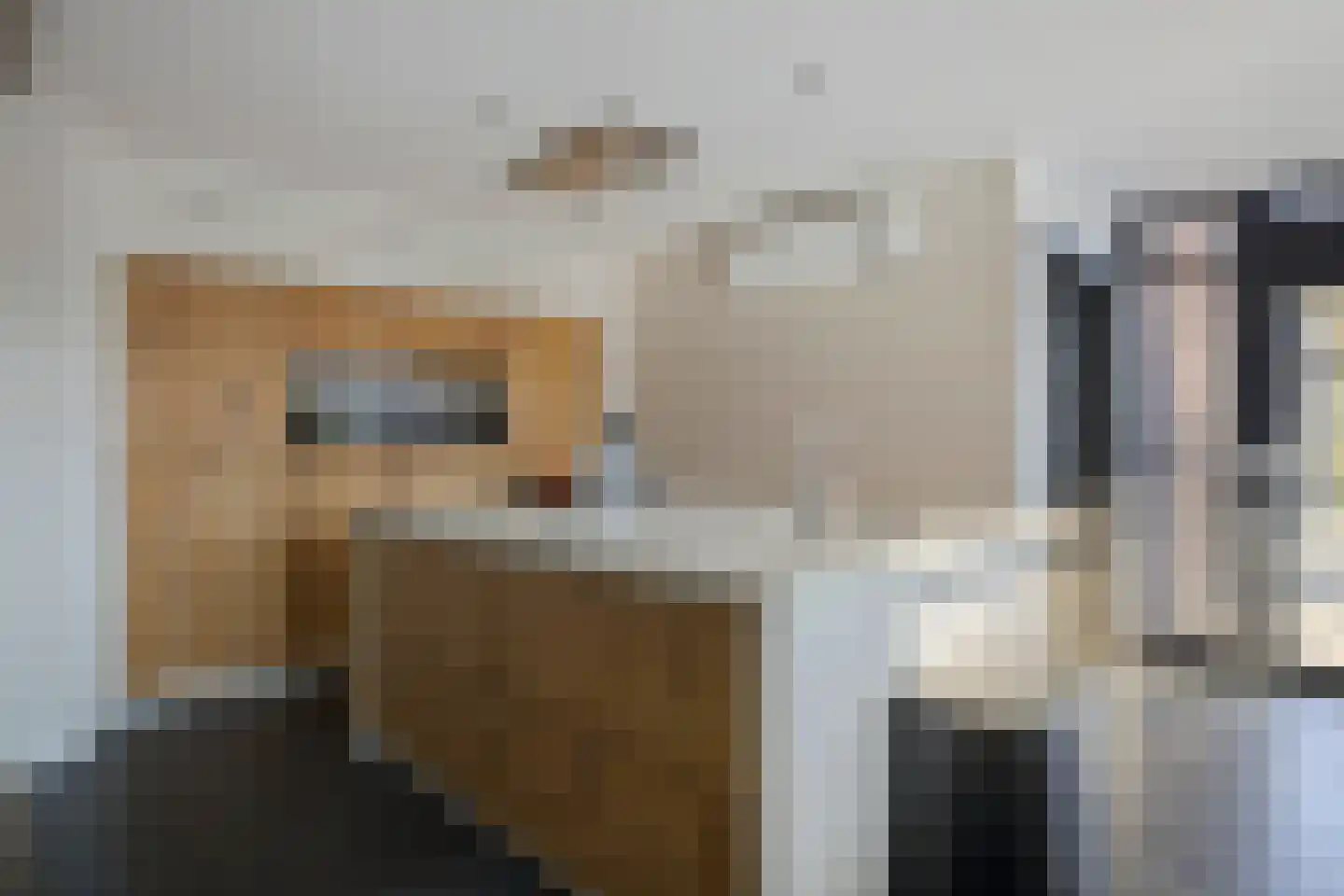 Biezen 34 Dongen foto 3