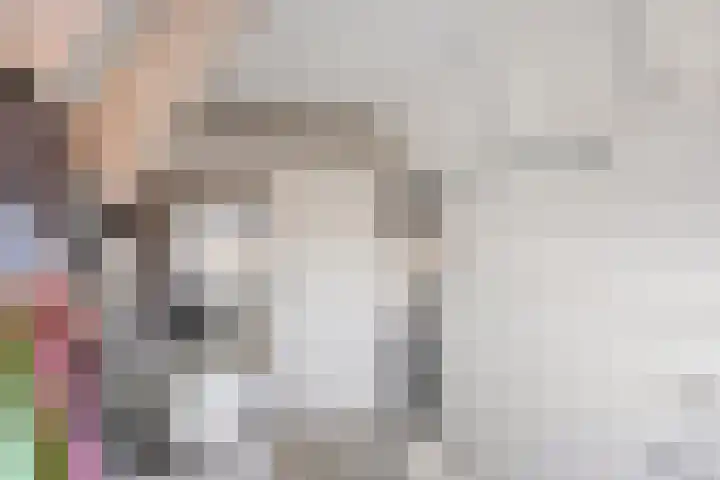Biezen 34 Dongen thumbnail 33