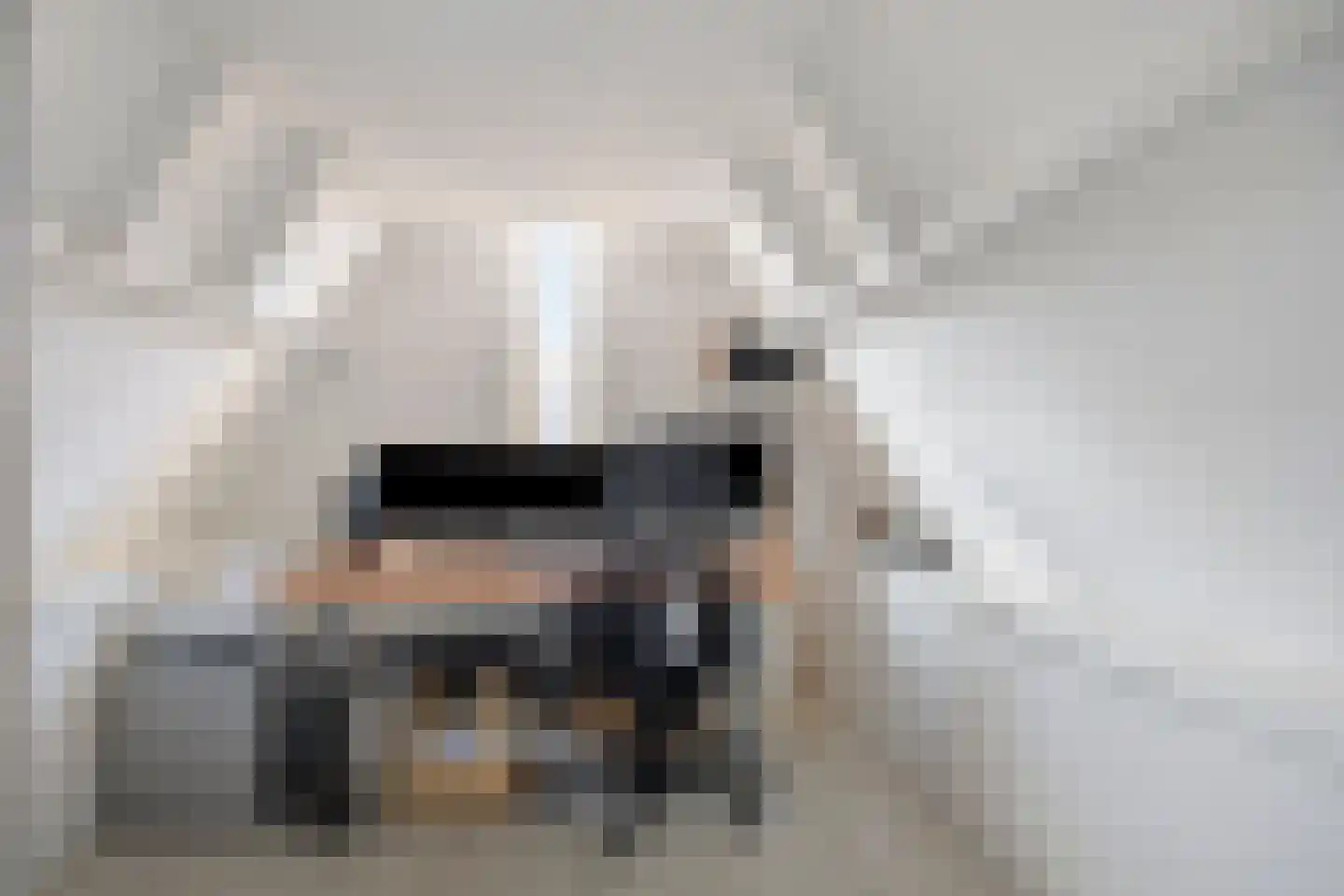 Biezen 34 Dongen thumbnail 34