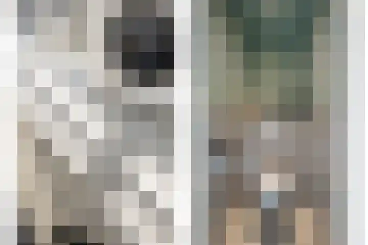 Biezen 34 Dongen thumbnail 37
