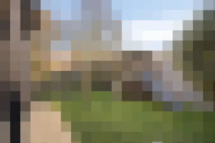 Biezen 34 Dongen thumbnail 41
