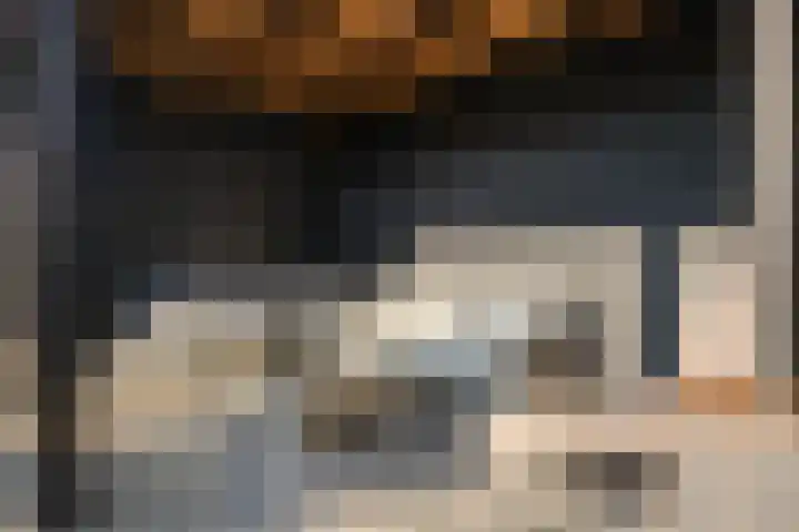 Biezen 34 Dongen thumbnail 43