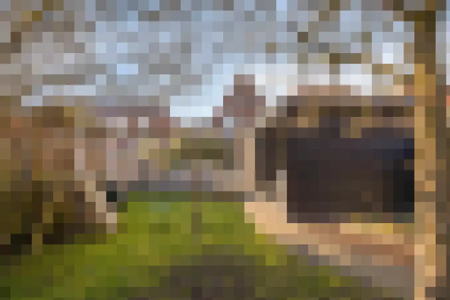 Biezen 34 Dongen thumbnail 44