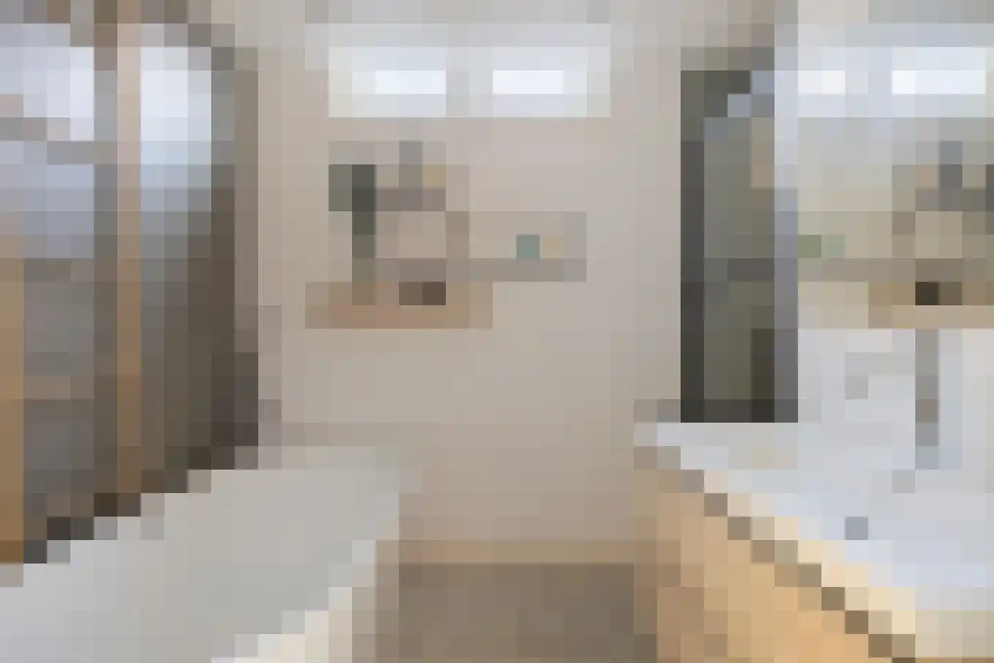 Biezen 34 Dongen thumbnail 5