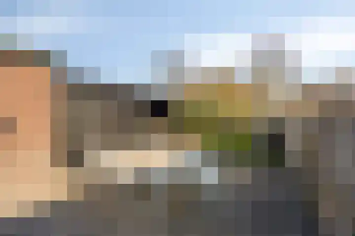 Biezen 34 Dongen thumbnail 6