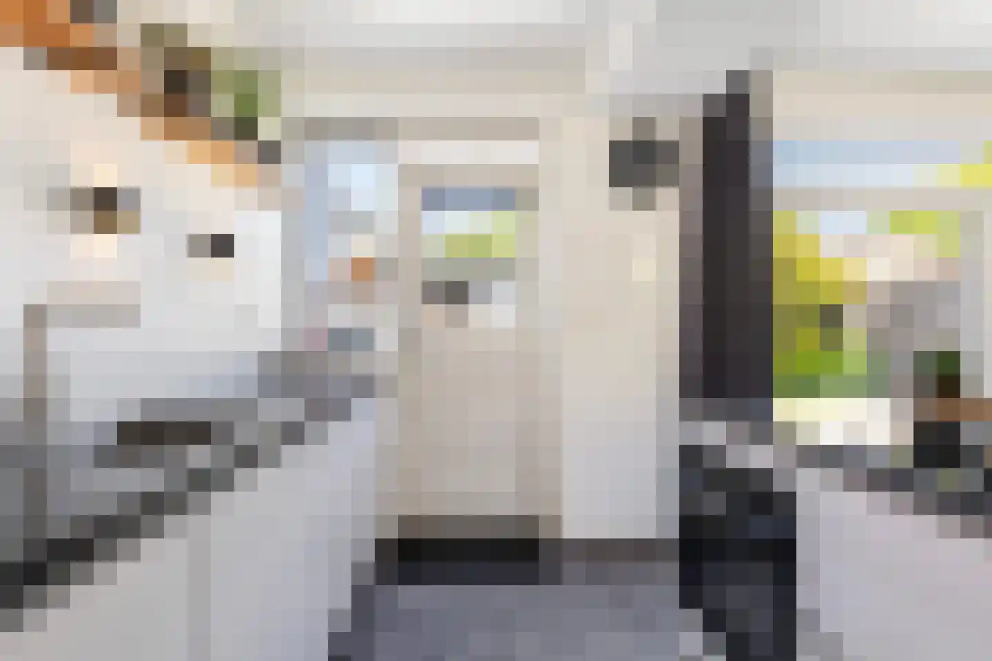 Biezen 4 Barendrecht thumbnail 8