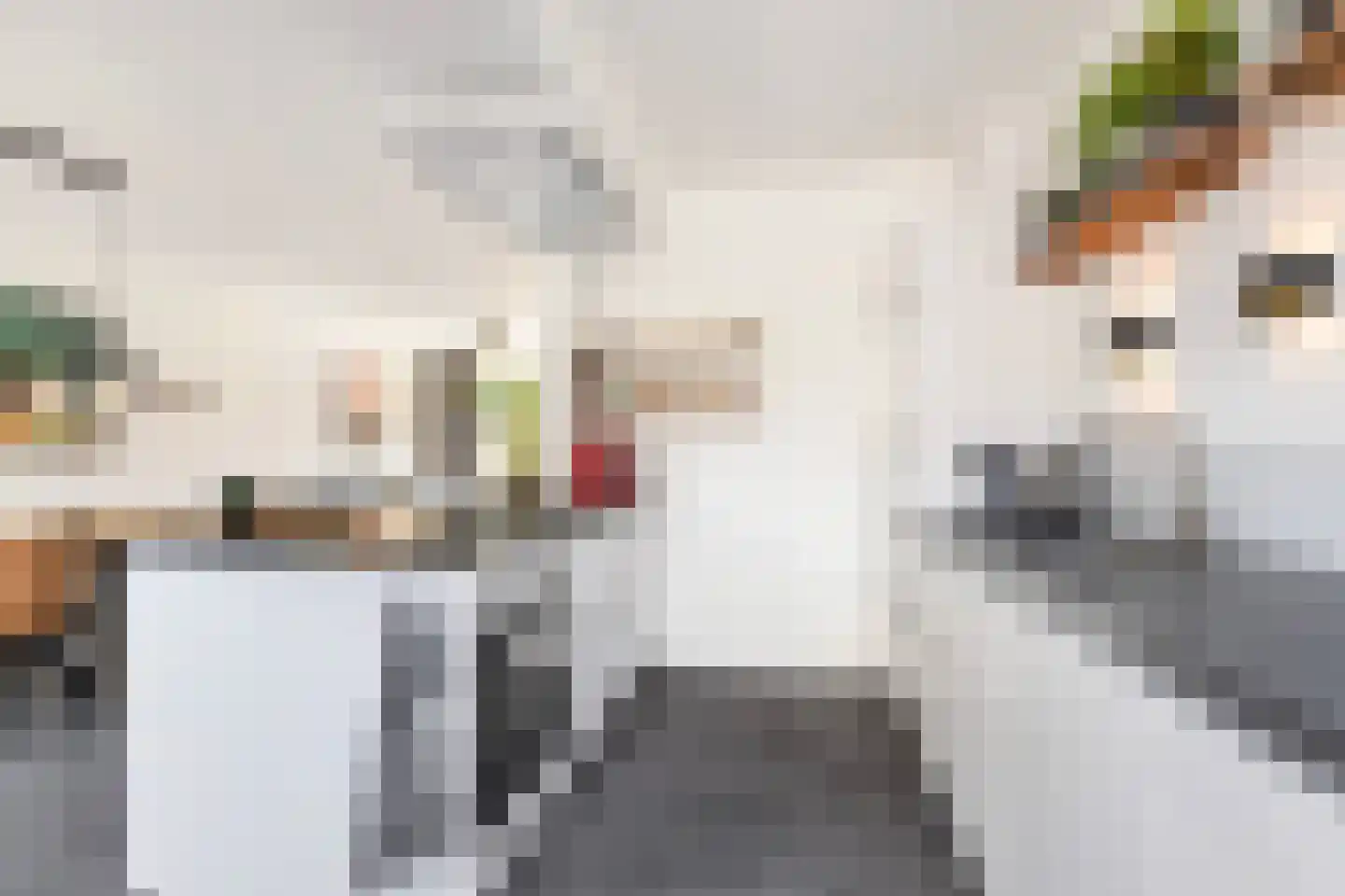 Biezen 4 Barendrecht thumbnail 9