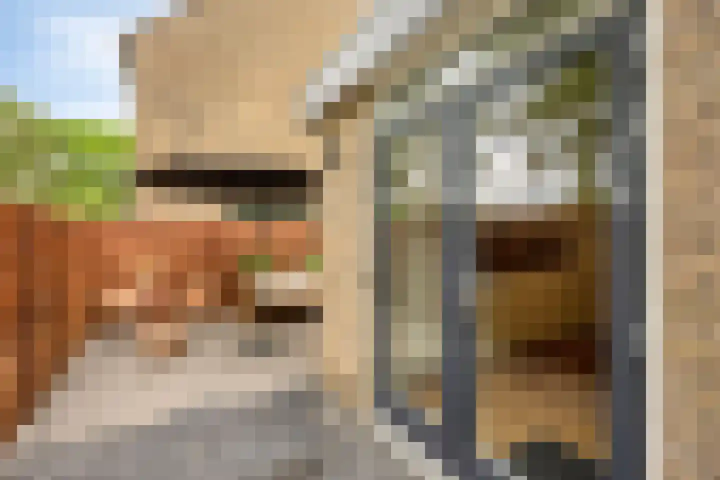 Biezen 8 Barendrecht thumbnail 40