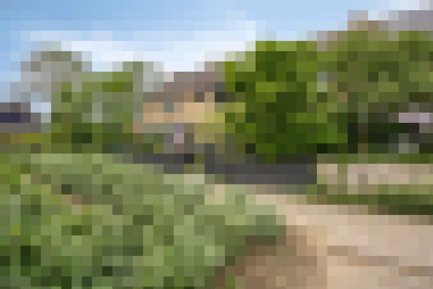 Biezen 8 Barendrecht thumbnail 45