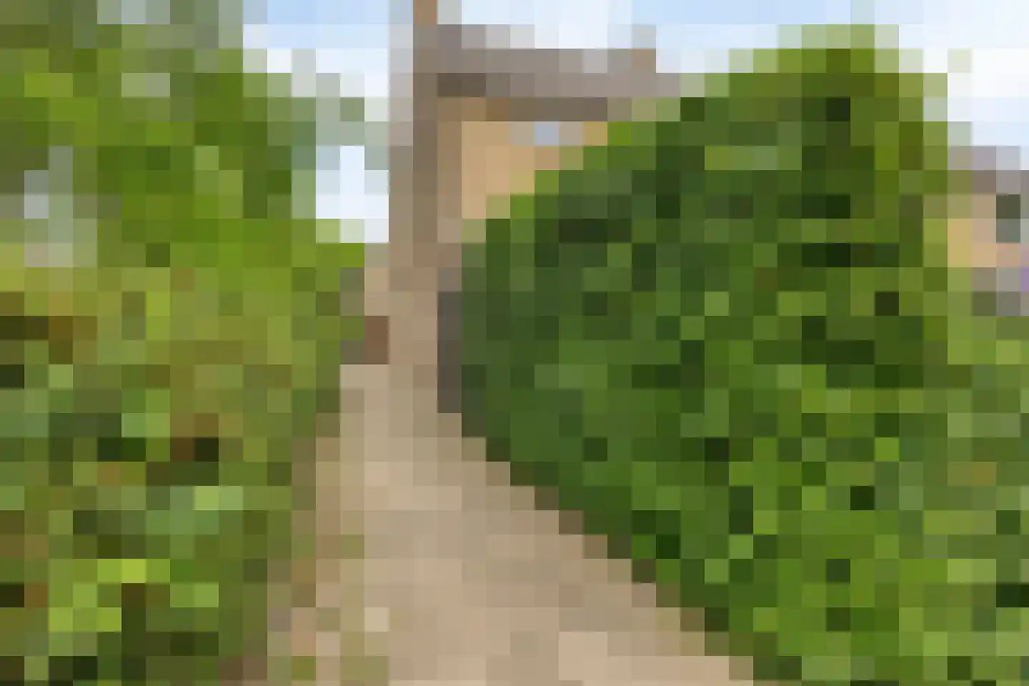 Biezen 8 Barendrecht thumbnail 47