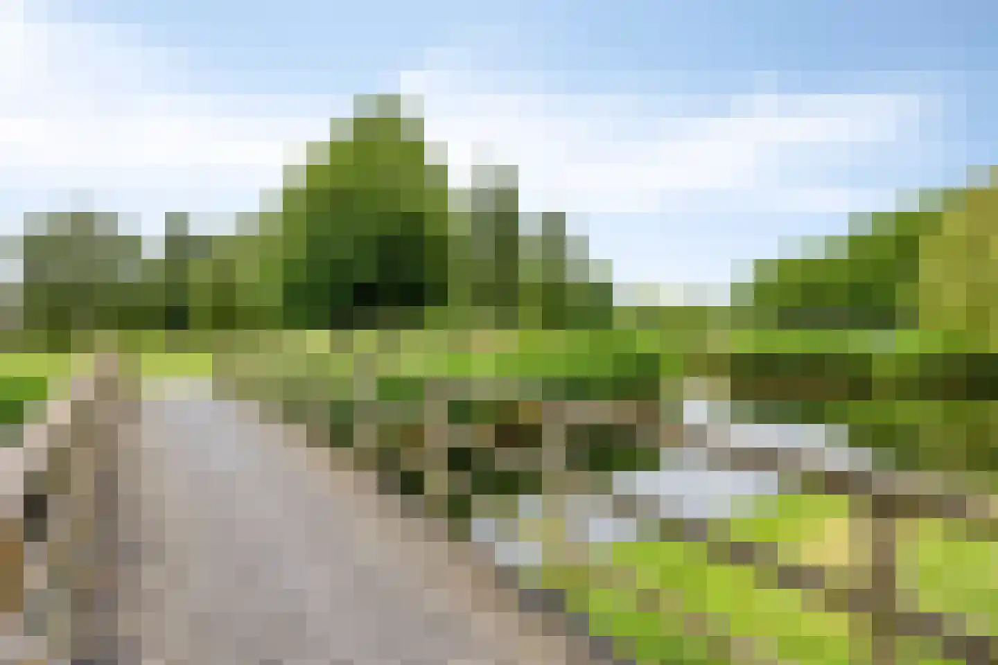 Biezen 8 Barendrecht thumbnail 50