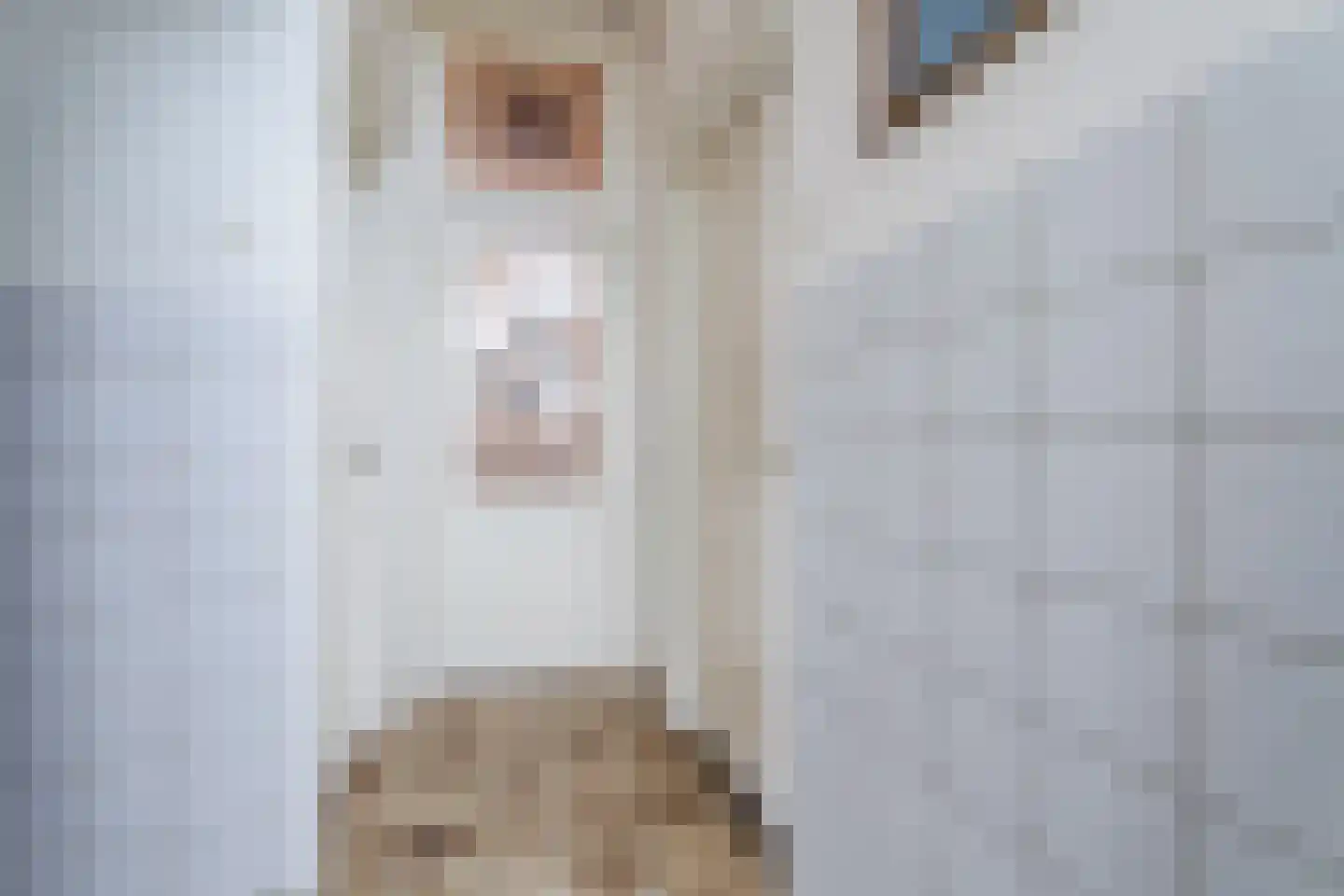 Biezen 82 Boskoop thumbnail 27