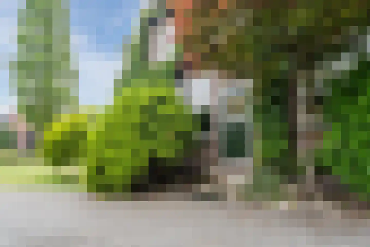 Biezen 82 Boskoop thumbnail 5