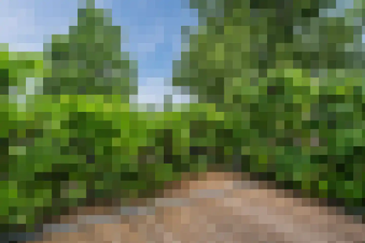 Biezen 82 Boskoop thumbnail 50