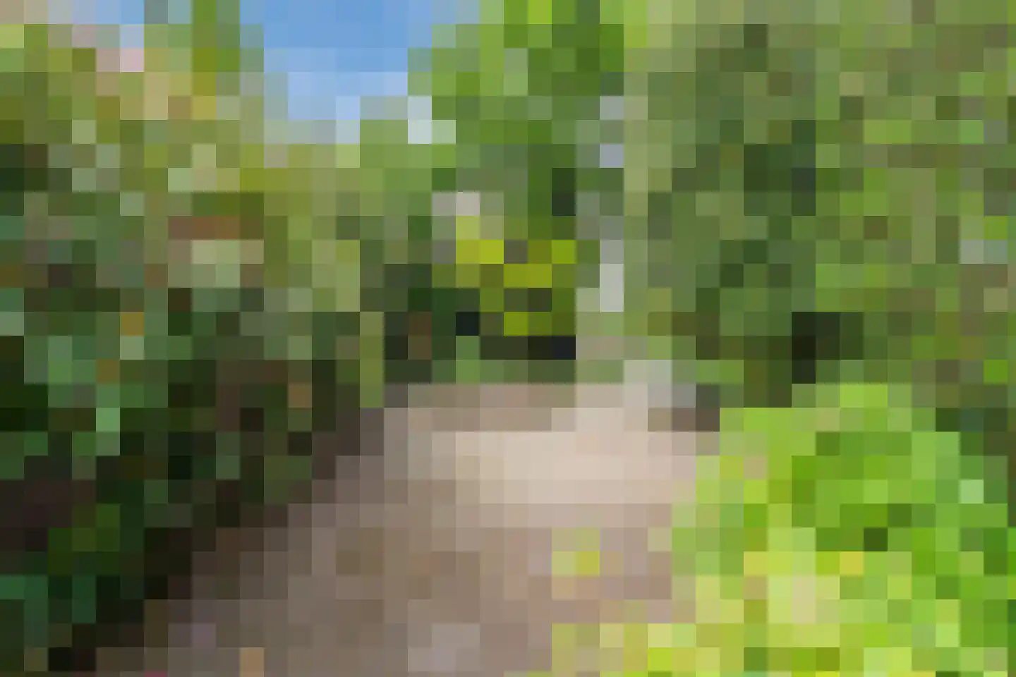 Biezen 82 Boskoop thumbnail 53