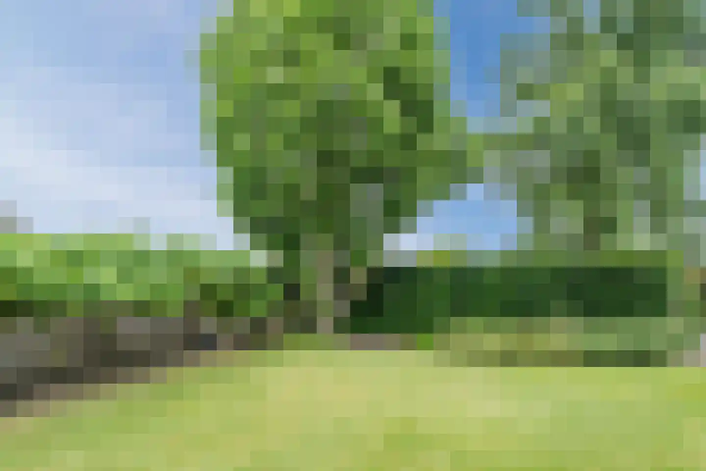 Biezen 82 Boskoop thumbnail 55