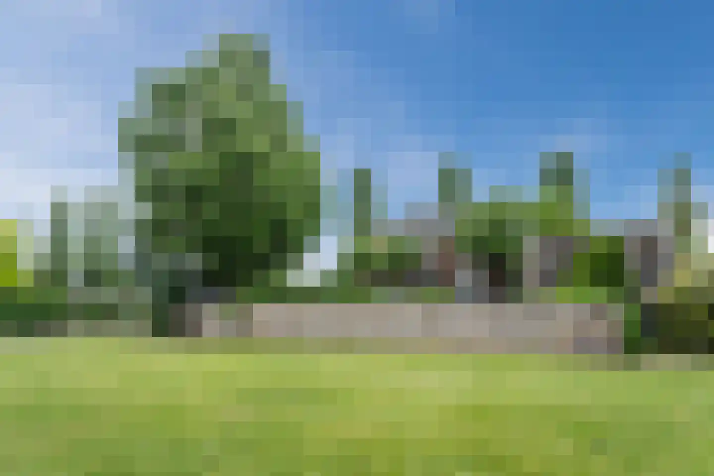 Biezen 82 Boskoop thumbnail 56