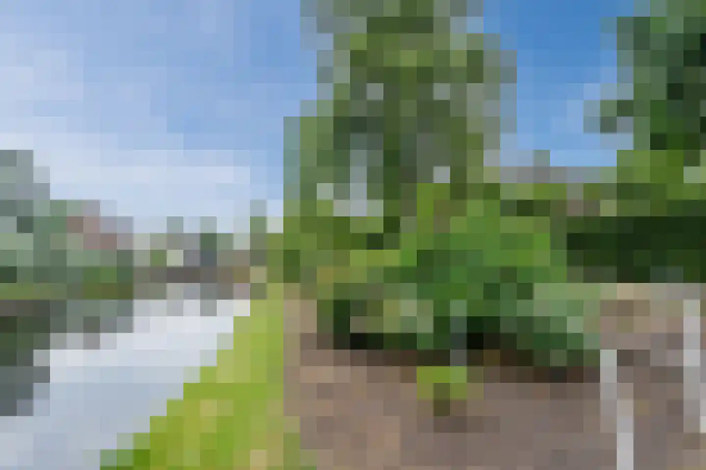 Biezen 82 Boskoop thumbnail 59