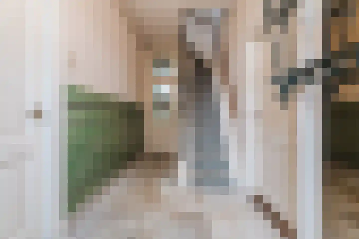Biezen 82 Boskoop thumbnail 6