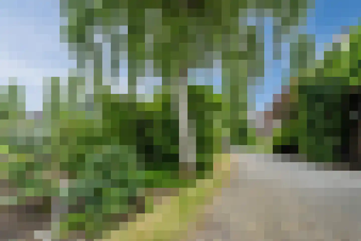 Biezen 82 Boskoop thumbnail 60