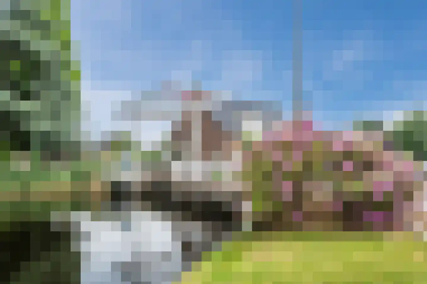 Biezen 82 Boskoop thumbnail 68