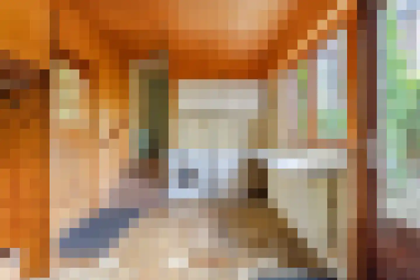 Biezen 92 Boskoop thumbnail 14
