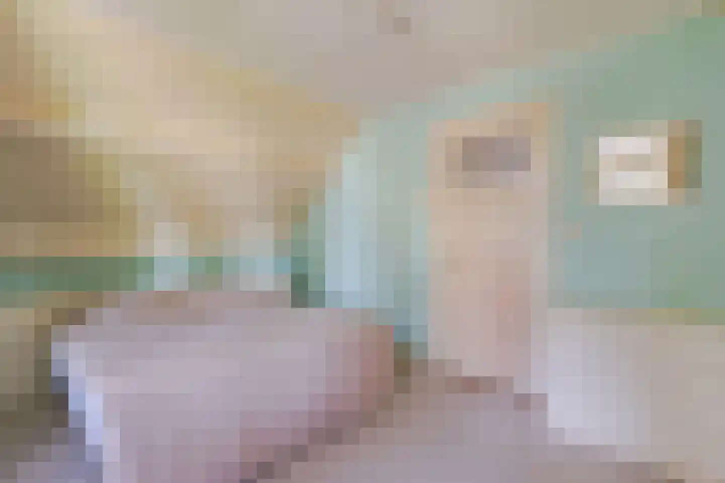 Biezen 92 Boskoop thumbnail 21