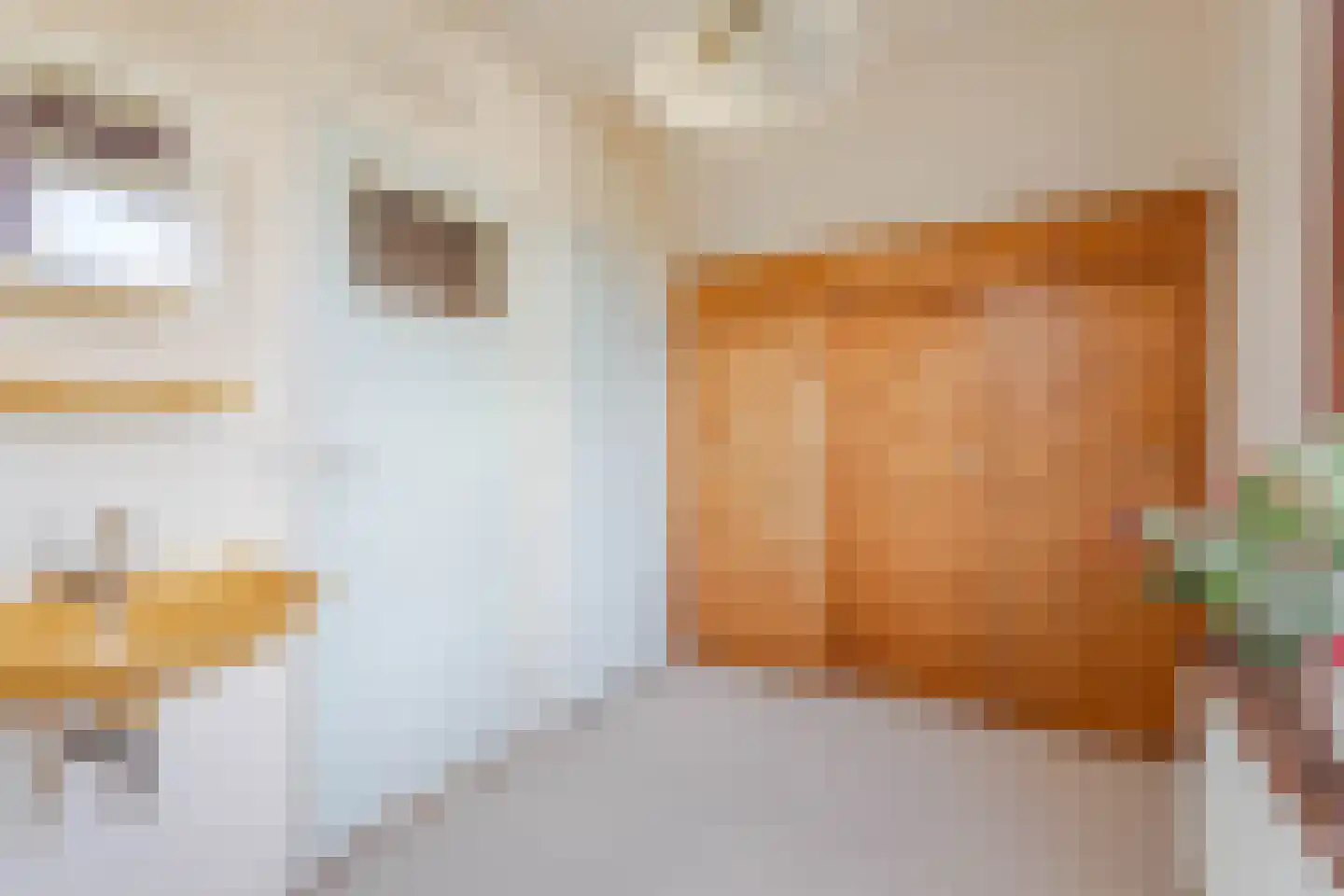Biezen 92 Boskoop thumbnail 23