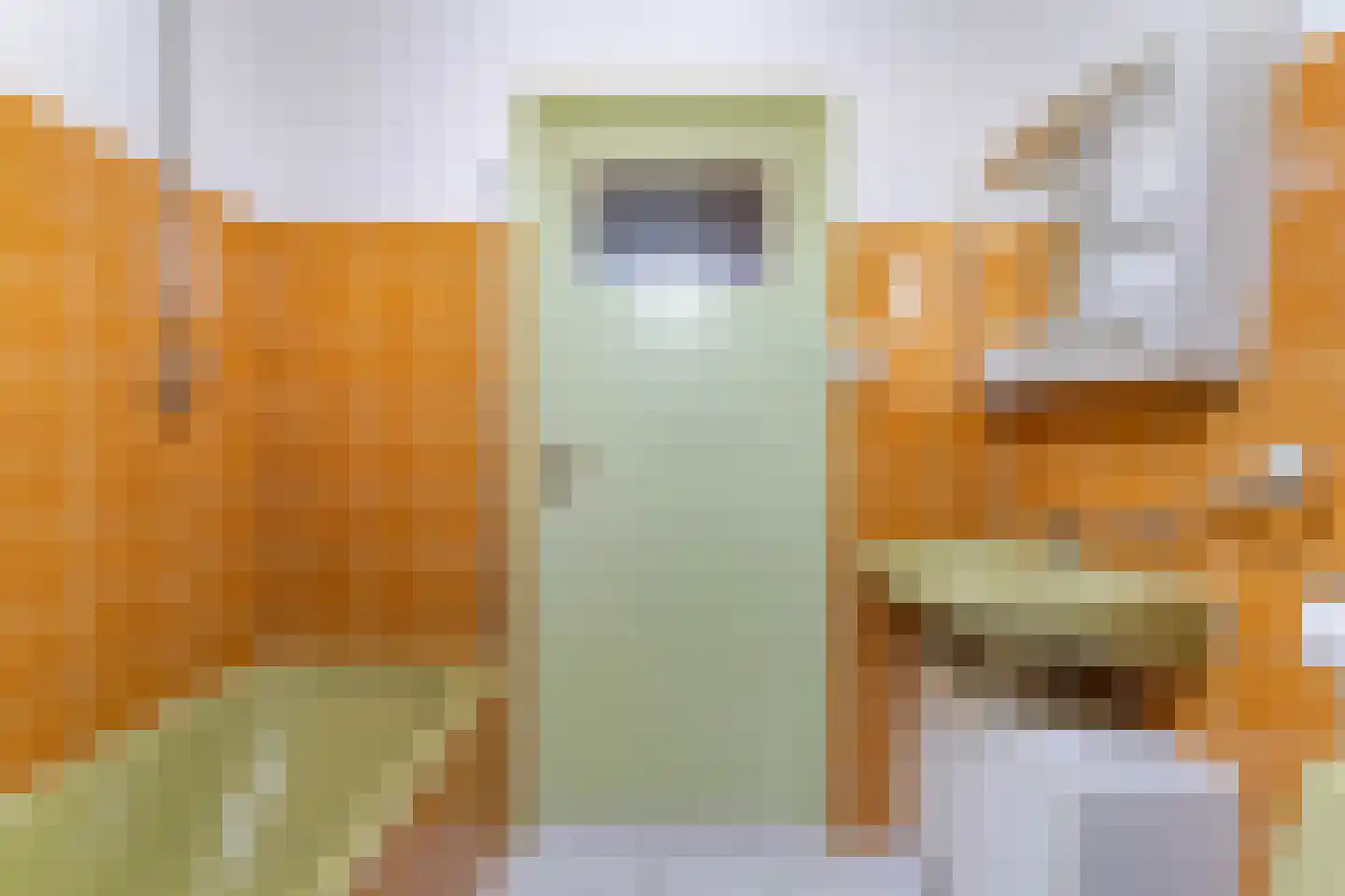 Biezen 92 Boskoop thumbnail 25