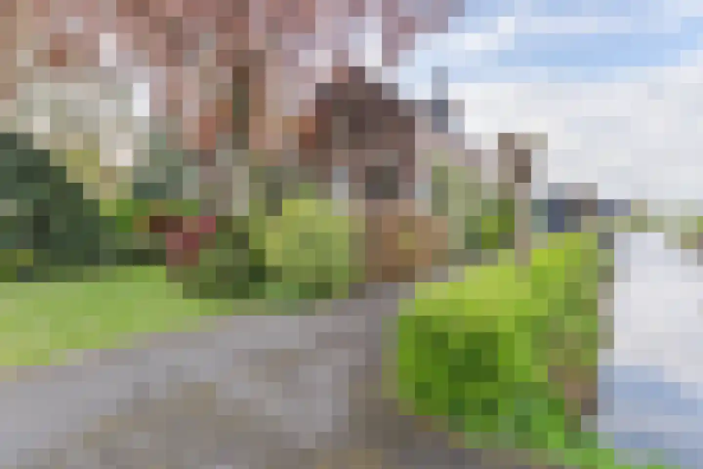 Biezen 92 Boskoop thumbnail 26