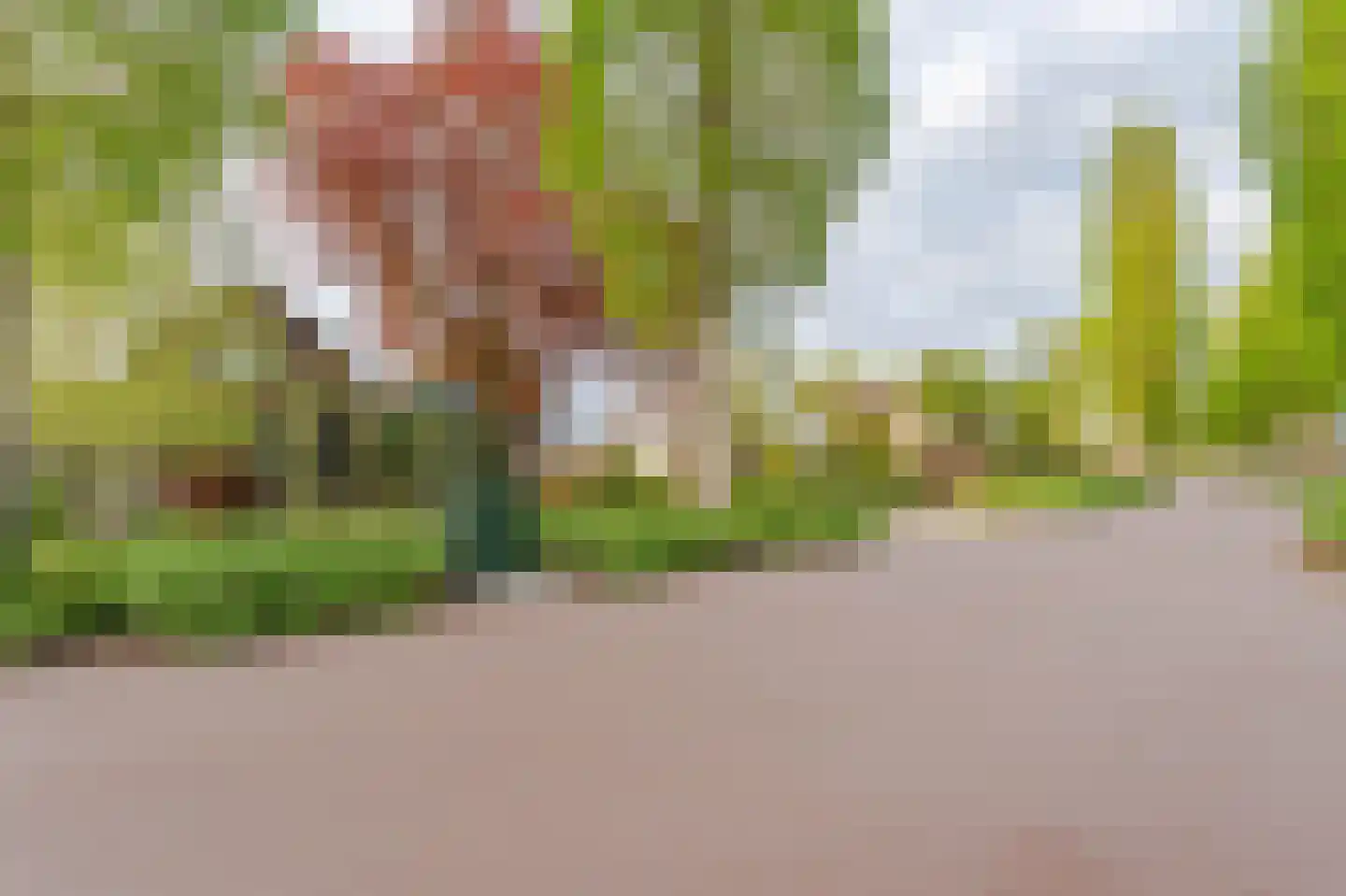 Biezen 92 Boskoop thumbnail 27