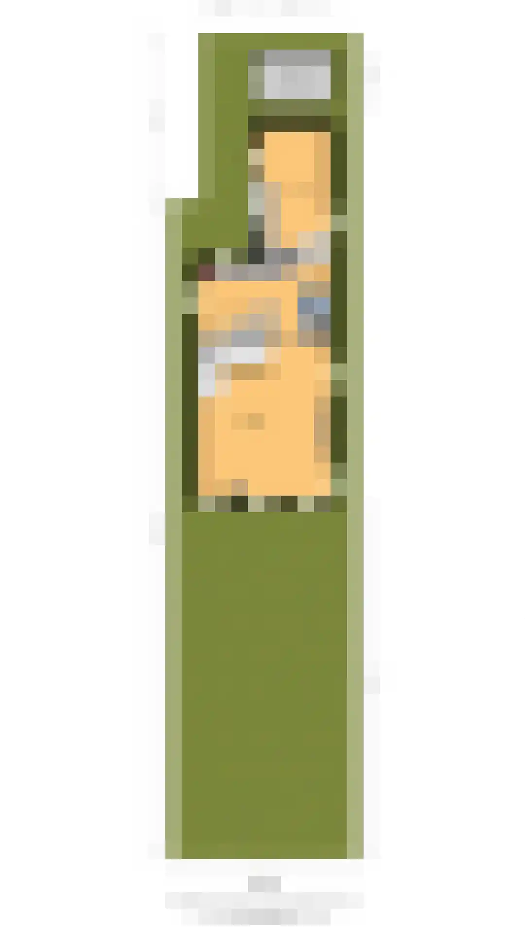 Biezen 92 Boskoop thumbnail 28