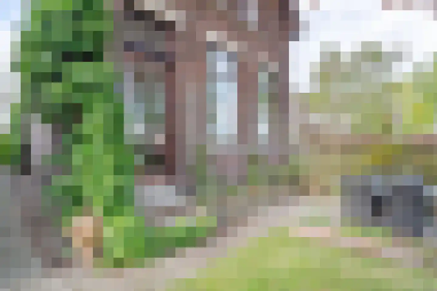 Biezen 92 Boskoop thumbnail 4